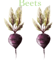 beetroot