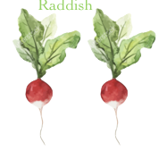 radish